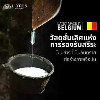 LOTUS ที่นอนยางพาราแท้ รุ่น ENHANCE (นุ่มแน่น-แน่นสบาย) ลดอาการปวดหลัง นำเข้าจากประเทศเบลเยี่ยม