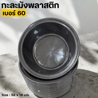 กะละมังพลาสติก เบอร์60 ขนาดกว้าง 58 ซม. กะละมังซักผ้า กะละมังอาบน้ำสัตว์เลี้ยง