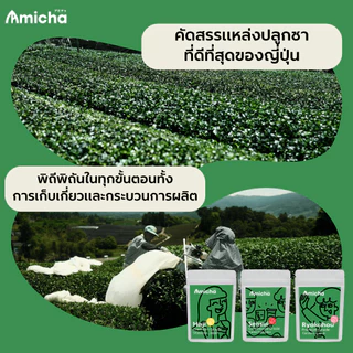 [AMICHA] - ETSUHA (เอทซึฮะ) ขนาด 20 กรัม ผงมัทฉะ 100% 🌱 จากเมืองอูจิ, เกียวโต ประเทศญี่ปุ่น | Ceremonial grade