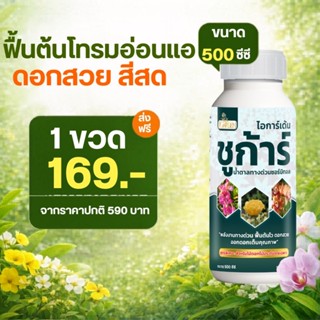 น้ำตาลทางด่วนกุหลาบ ชูก้าร์ น้ำตาลทางด่วน ซอร์บิทอล สำหรับไม…