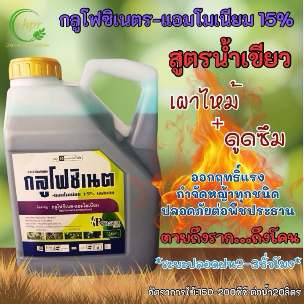 กลูโฟซิเนตตรารับเบอร์ เผาไหม้กึ่งดูดซึม