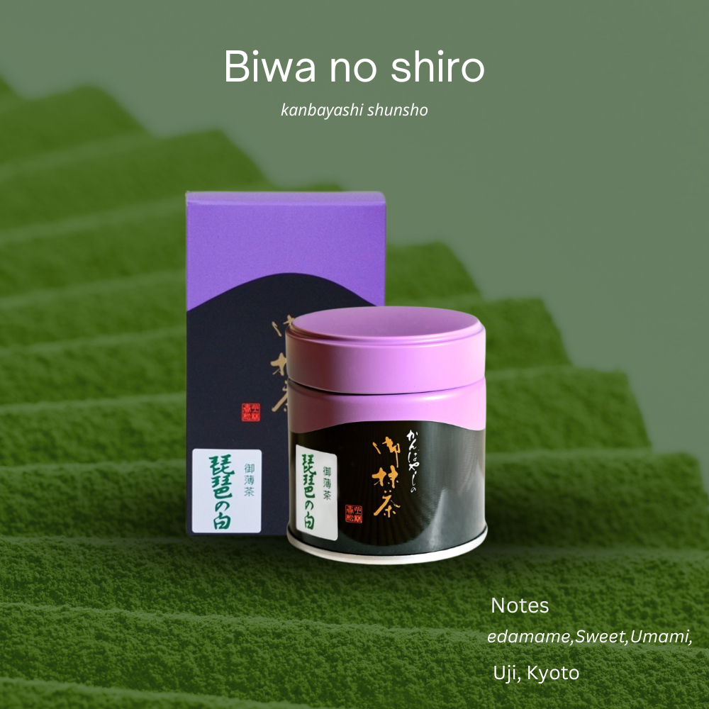 (พร้อมส่ง) "Biwa no Shiro" จาก kanbayashi shunsho