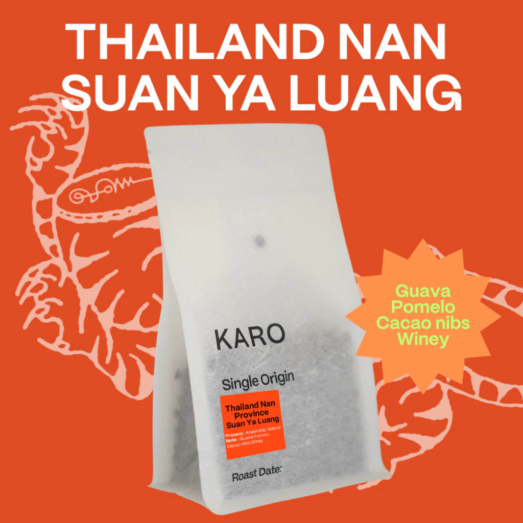 Karo Single Origin Coffee beans - เมล็ดกาแฟ Nan Province Suan Ya Luang คั่วอ่อน