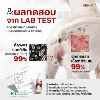 Fellower สเปรย์เช็ดก้นสุนัขและแมว Evosina ดูแลจุดซ่อนเร้นหลังขับถ่าย ลดกลิ่นอับ ไถก้น คันก้น ปลอดภัยเลียได้ 100ml