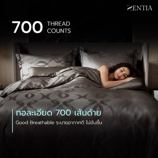ZENTIA ชุดผ้าปู + ผ้านวม ผ้าแพรพรีเมี่ยมทอลายริ้ว ลื่นเย็นสบายทุกสัมผัส กันไรฝุ่นรุ่น NC