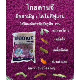 โกลดาน จี (15 กิโลกรัม) ไดโนทีฟูแรน กำจัดแมลงหนอน ด้วงเต่าแตงแดง และแมลงใต้ดิน มด ปลวก ด้วงดิน