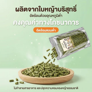 หญ้าอัดเม็ด อัลฟาฟ่าอัดเม็ดพรีเมียม Alfalfa 100% กระต่าย แพรี่ด็อก แกสบี้ ชินชิล่า เดกู เต่า 500กรัม