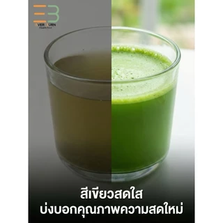 Nao Matcha Japan นาโอะมัทฉะประเทศญี่ปุ่น โทนถั่ว ของแท้ ของใหม่ 100% Permium Matcha 40กรัม NA