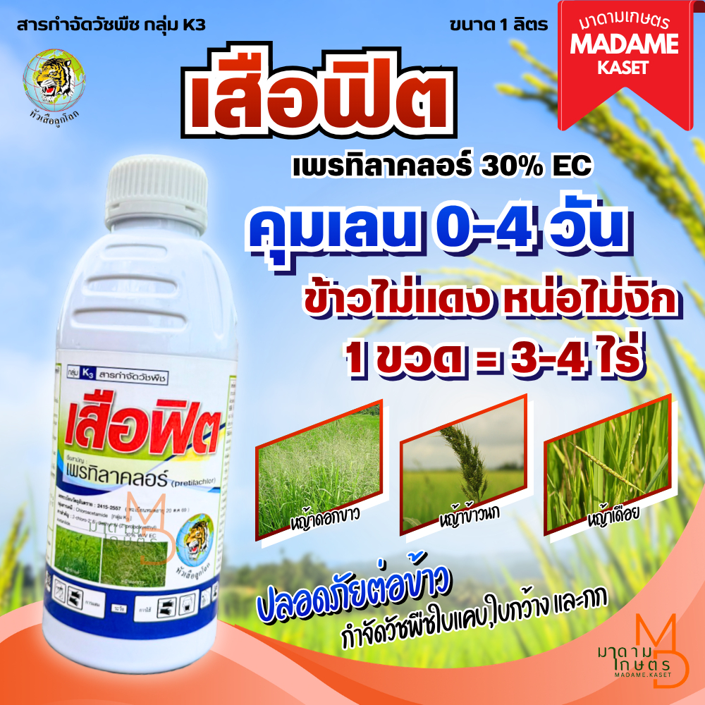 เสือฟิต คุมเลน-คุมเปียก (เพรทิลาคลอร์) คุมเลนในนาข้าว 0-4 วัน ข้าวไม่แดง ไม่งัน หน่อไม่หงิก 1 ลิตร ใช้ได้ 3-4 ไร่
