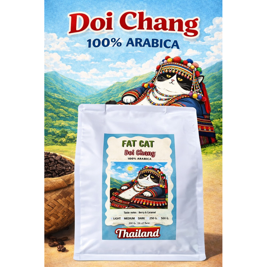 เมล็ดกาแฟ ดอยช้าง Doi Chang คั่วกลาง