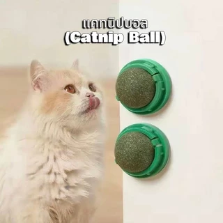 Boqi Factory แคทนิปบอล ติดกำแพง ไม่กลิ้งหาย catnip ball XJ55