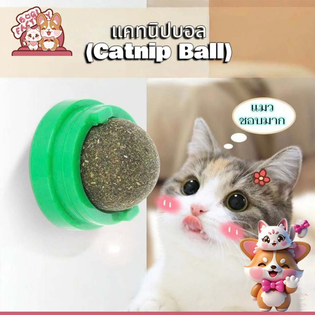 Boqi Factory แคทนิปบอล ติดกำแพง ไม่กลิ้งหาย catnip ball XJ55