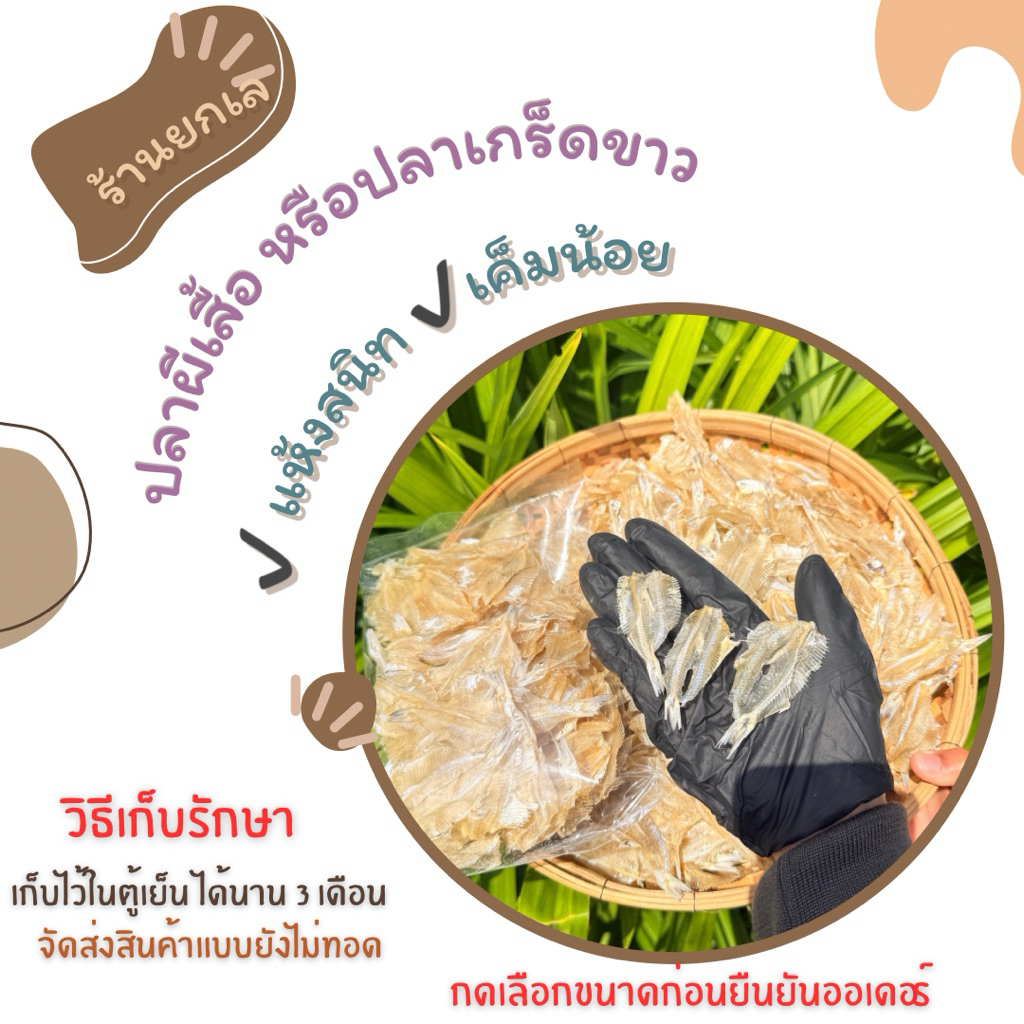 ปลาผี้เสื้อหรือปลาเกร็ดขาวผ่าตากแห้ง เป็นปลาทะเล แคลเซียมสูง