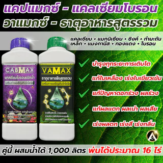 VAMAX ชุดยกลัง 6 แถม 6 ปุ๋ยธาตุอาหารรวม 7 ชนิด เสริมอะมิโน แถมฟรีเสื้อปุ๋ยแขนยาว V12