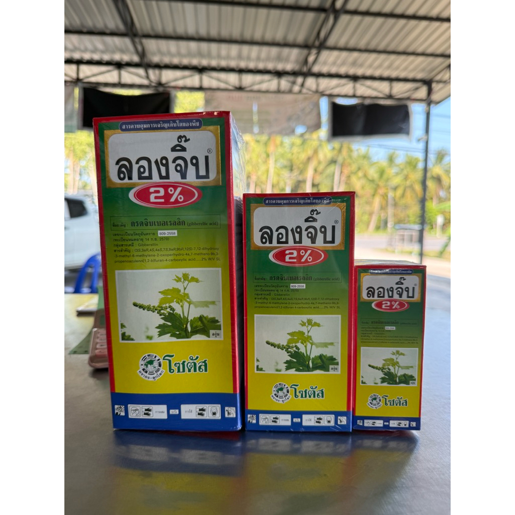 ลองจิ๊บ 2% ขนาด 100 cc  500cc และ 1 ลิตร  ยืดขั้วดอก ขั้วดอกแข็งแรง