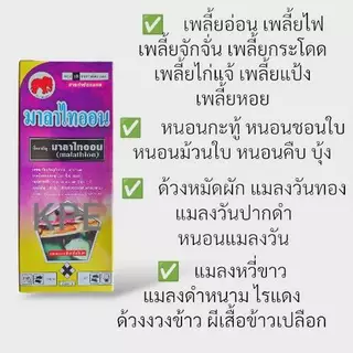 มาลาไทออน 100 ซีซี มาลาไทออน 83% EC เพลี้ยไฟ แมลงวันทอง เพลี้ยแป้ง เพลี้ยหอย แมลงหวี่ขาว ด้วงหมัดผัก