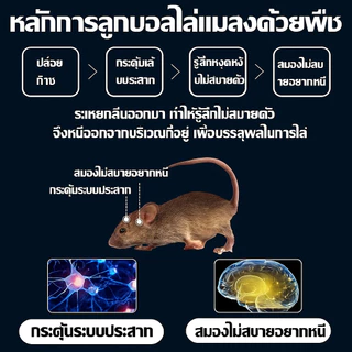 🐭ยาไล่หนู ลูกเหม็นไล่หนู กลิ่นแรง หนูหนีทันที ไม่กลับมา ใช้ในบ้าน รถ ห้องเครื่อง เห็นผลเร็ว ปลอดภัย ไร้สารพิษ