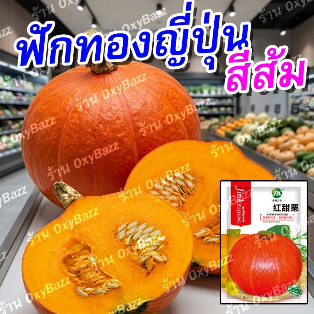 เมล็ดฟักทองญี่ปุ่นสีส้ม 20 เมล็ด เนื้อหวานมัน ฟักทองเกาลัด ปลูกง่าย โตไว ผลดก – โปรปัง