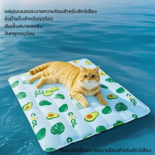 NEW PET COOL MAT ที่นอนเจลเย็น สัตว์เลี้ยง แมว สุนัข แผ่นเจลเย็น กันร้อน ระบายอากาศได้ คลายร้อนในฤดูร้อน