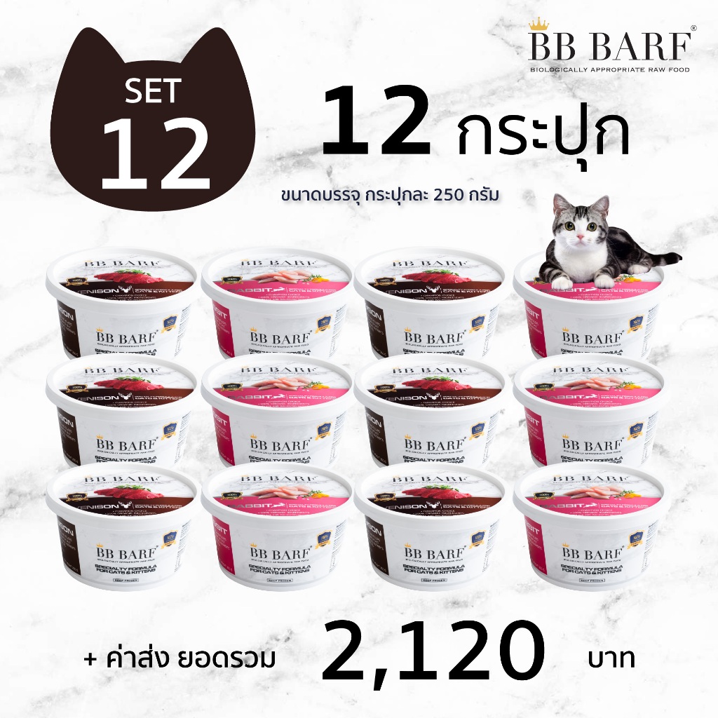 บาร์ฟแมว สูตรกระต่าย กวาง นกกระทา เนื้อวัว อาหารแมว บีบี บาร์ฟ BB BARF อาหารสดดิบแช่แข็งแมว 12กระปุก