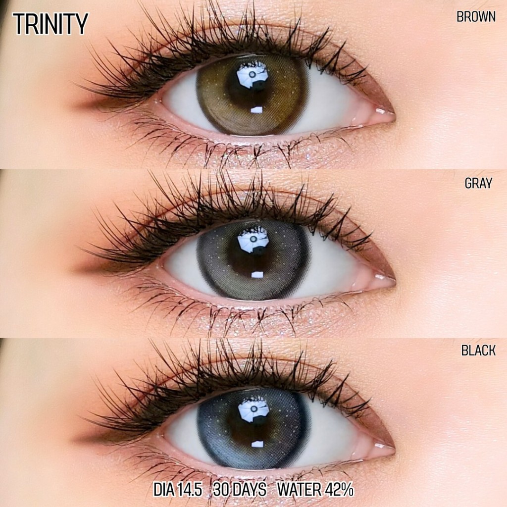 🔥คอนแทคเลนส์✨ขนาดกลาง✨ Trinity (Luxzylens) Brown / Gray