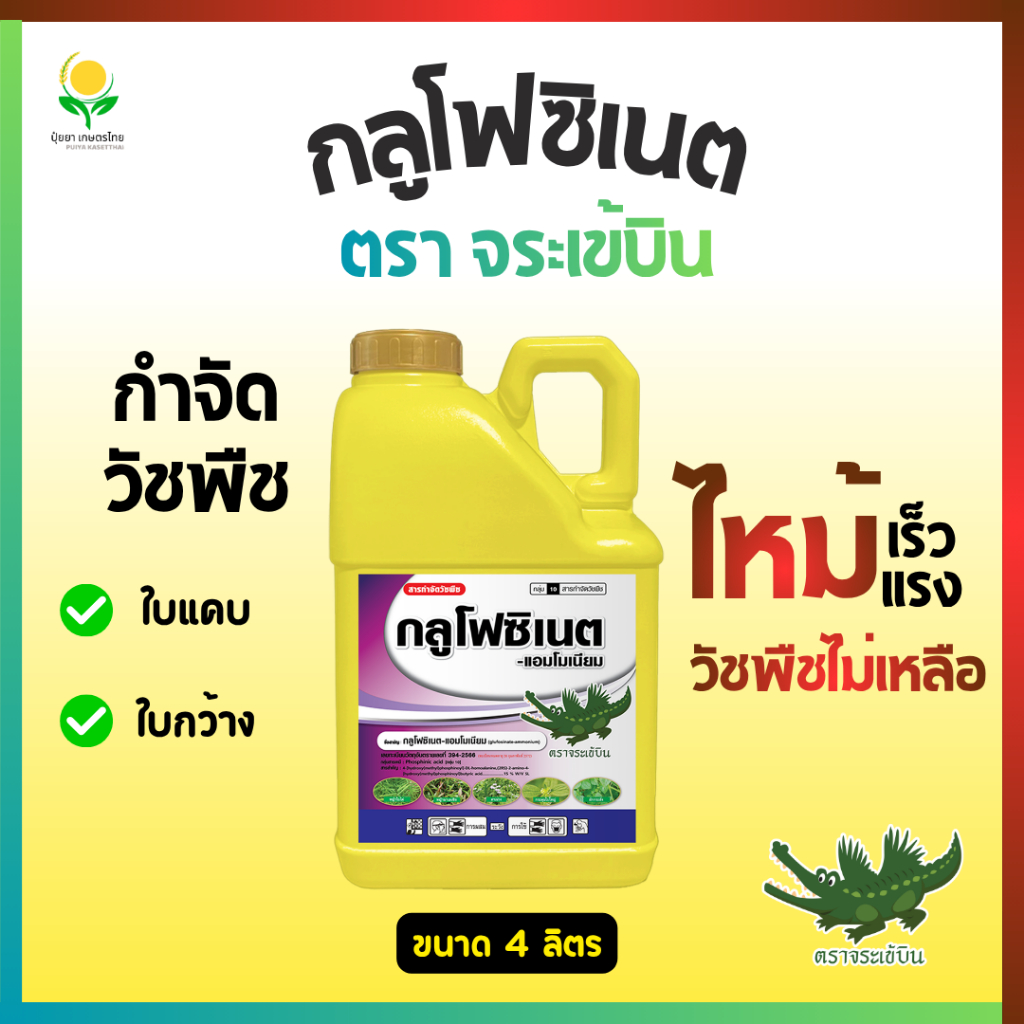 กลูโฟซิเนต กำจัดหญ้า ขวด 4 ลิตร ตราจระเข้บิน (น้ำทอง) (กลูโฟซิเนต-แอมโมเนียม 15%)