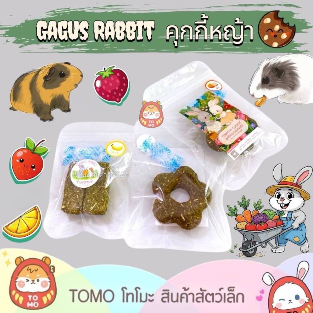 ร้านโทโมะ 💕Gagus Rabbit คุกกี้หญ้าทิมโมธี Hay Bar ลับฟัน รสผลไม้  ขนมกระต่าย แกสบี้ ชินชิลล่า แพรี่ด๊อก ชินชิลล่า