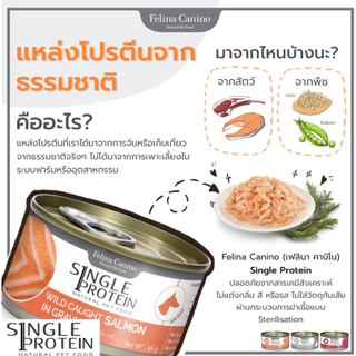 [24กระป๋อง] Felina Canino Cat อาหารแมวเปียก บรรจุกระป๋อง 70g