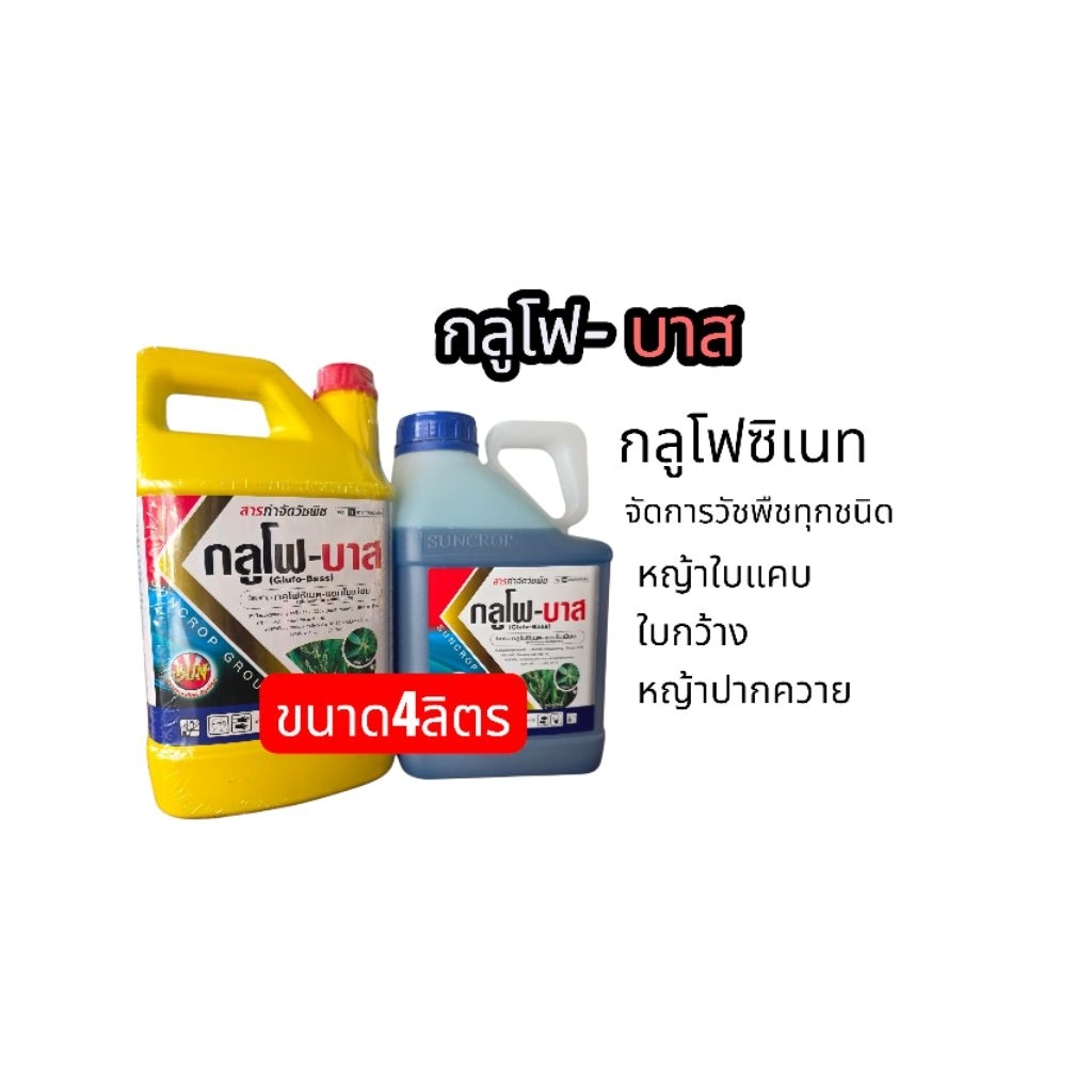 กลูโฟ-บาสกำจัดวัชพืชทุกชนิดทั้งใบแคบใบกว้างเช่นหญ้าปากควายตุยภายใน2-3วัน
