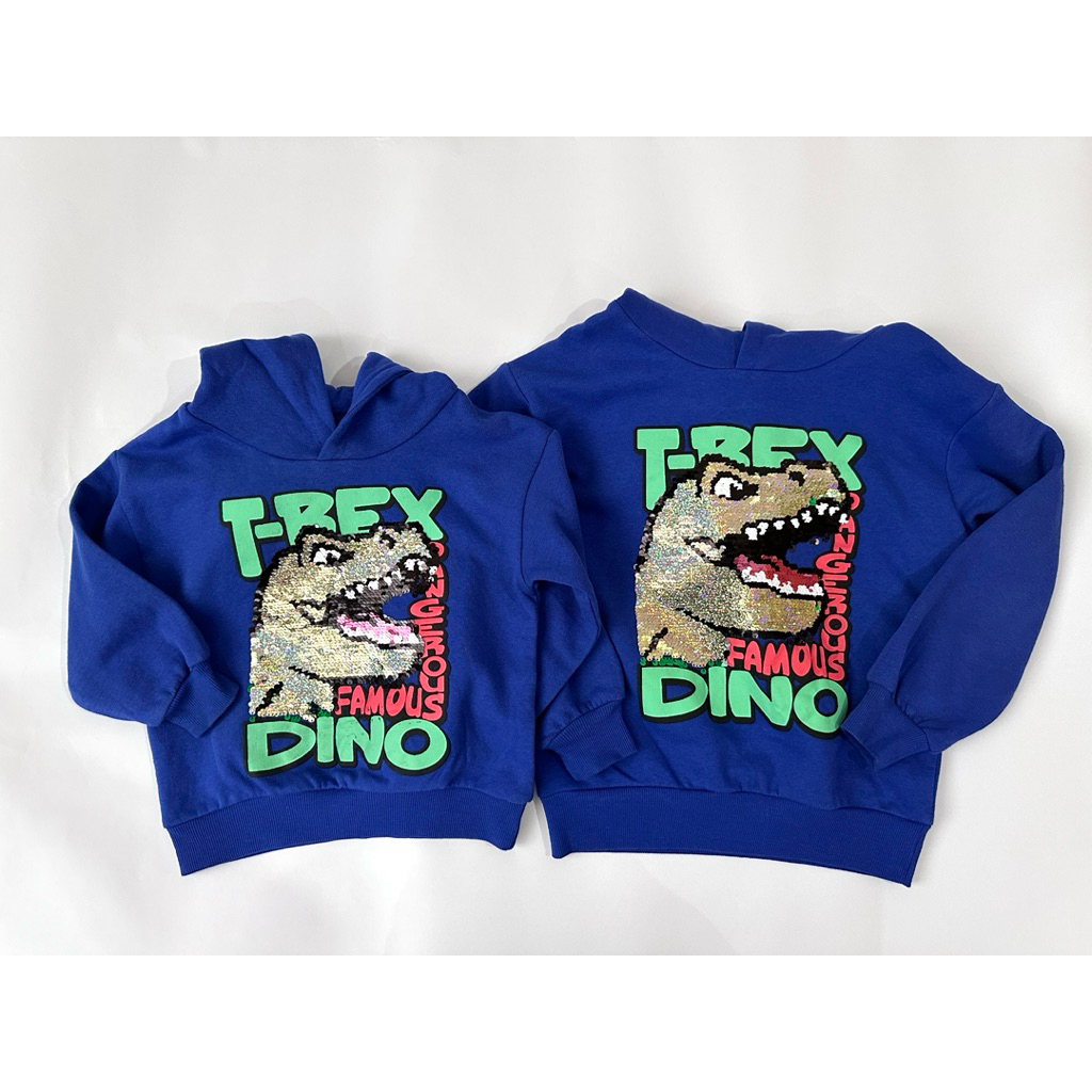 ส่งต่อ H&M Sweater Hoodies เสื้อกันหนาวเด็ก T-REX DINO ใส่ไป 1 วันถ้วน สภาพเหมือนใหม่ size 3-4Y , 6-