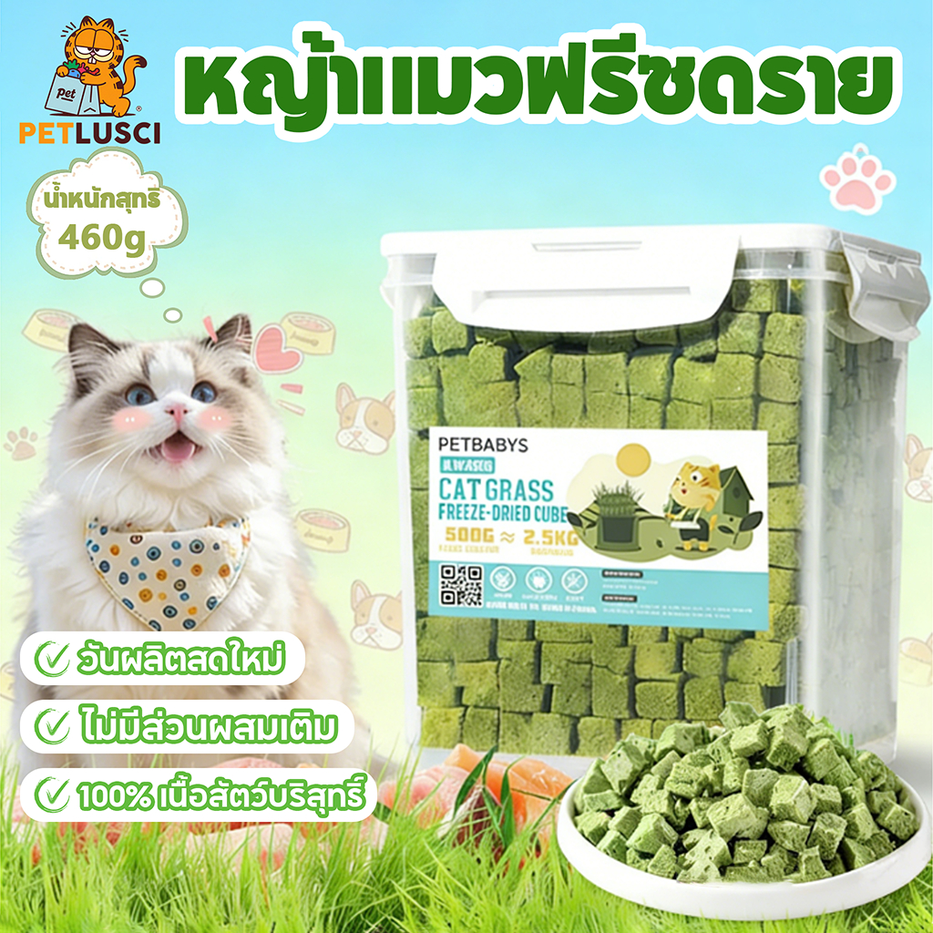 PETLUSCI หญ้าแมวฟรีซดราย ขนมแมว 640กรัม ลดการสำลักขน อกไก่สดแท้ ต้นอ่อนข้าวสาลี โปรตีนสูง อาหารแมว