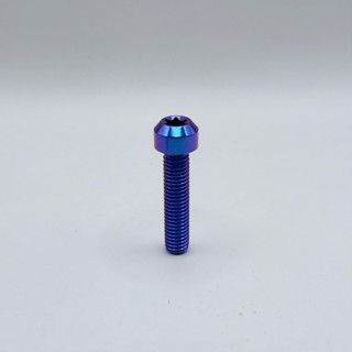 Titabolt น็อตไทเทเนียมหัวจมดาว M6(ราคาต่อตัว)M6x10/15/20/25/…