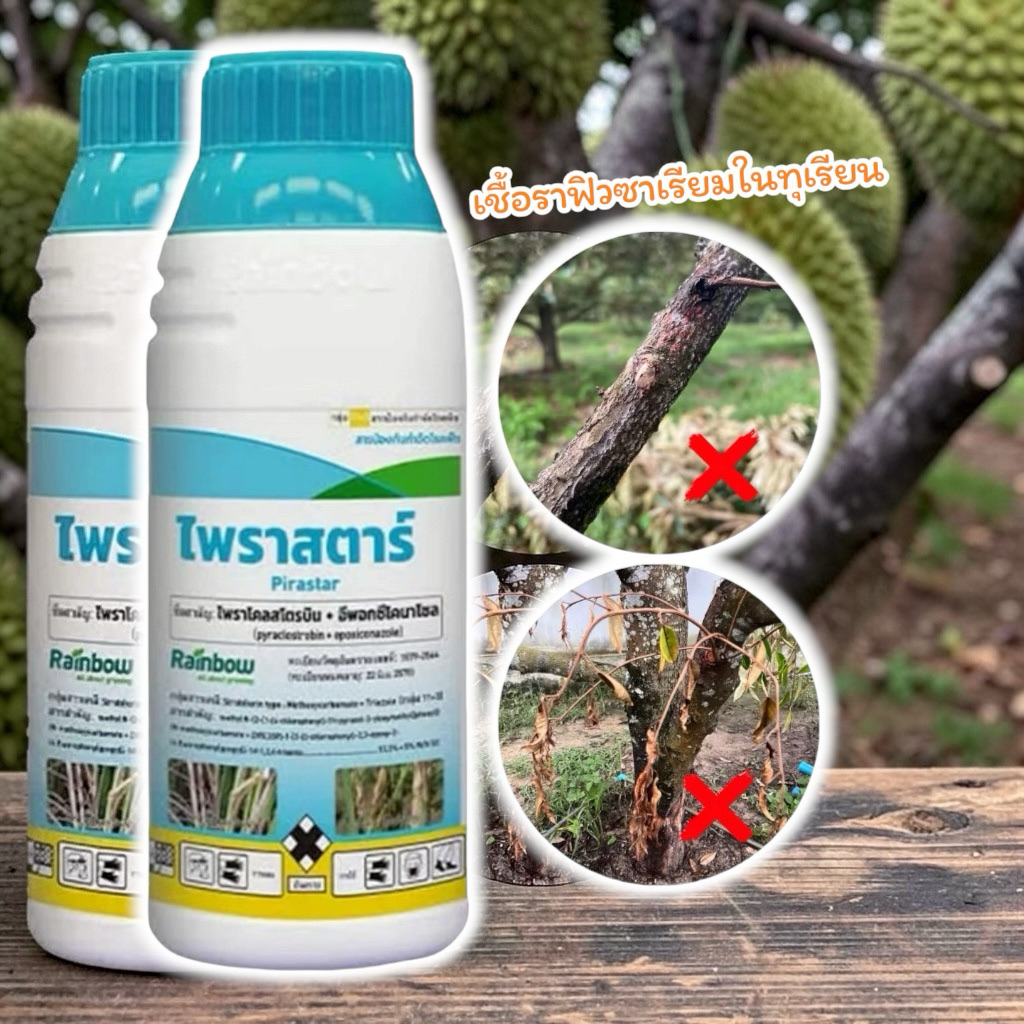 ไพราสตาร์ บริษัท เรนโบว์ ป้องกันและกำจัดโรคใบไหม้, โรคเมล็ดด่าง,โรคกาบใบแห้ง โรคแอนแทรคโนส ราคา ถูกที่สุด ดีลบีเคเค แกลเลอรีภาพที่ 6