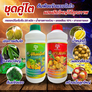 ชุดคู่โต มิโนเเม็กซ์+เทนเเคล สูตรเข้มข้น ต้นพืชเเข็งเเรงโตไว…