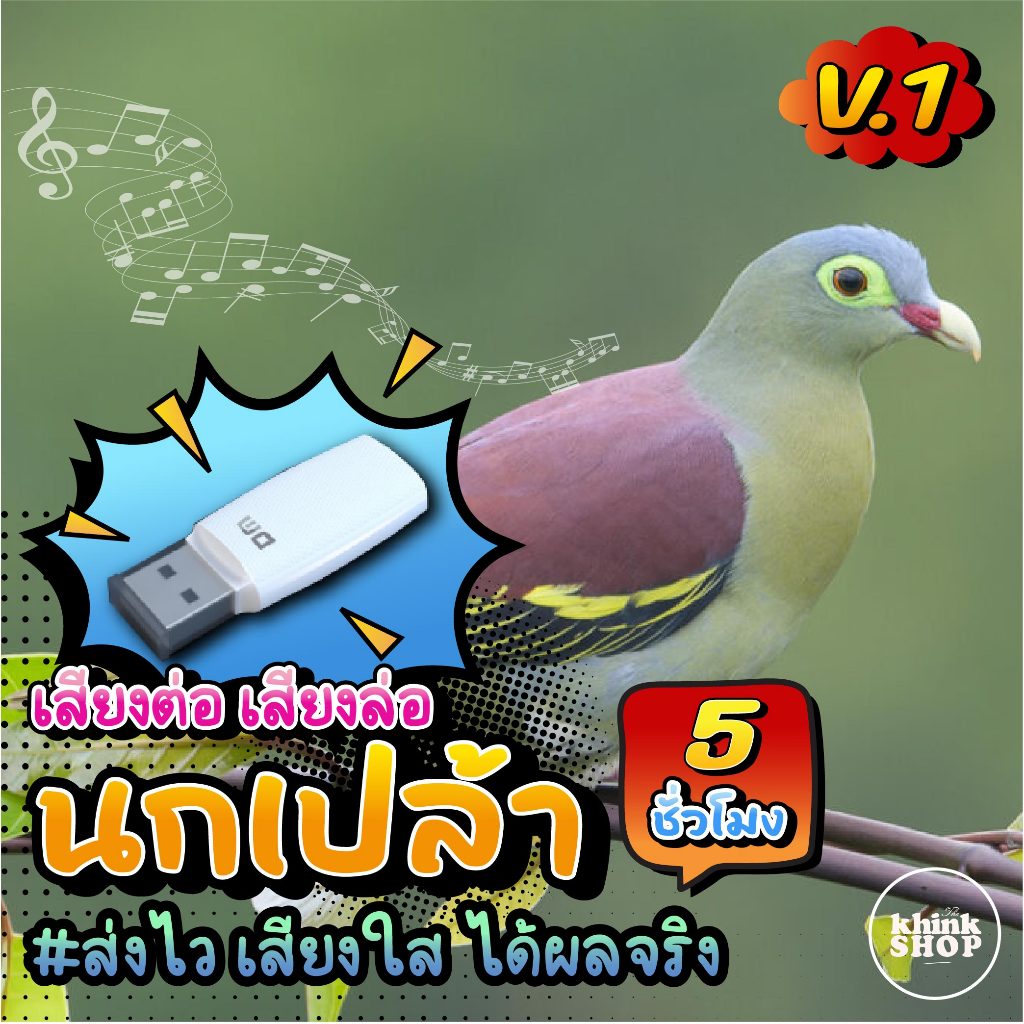 เสียงต่อนกเปล้าธรรมดา V.1 นกเขาเปล้า นกเป้า นกเปล้าเล็ก แฟลชไดรฟ์ เมม ไม่มีโฆษณาแทรก มีเก็บเงินปลายทาง