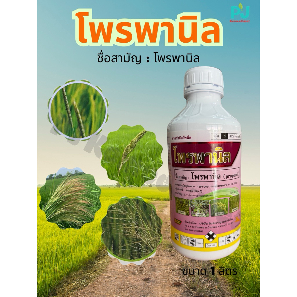 โพรพานิลEC36% ขนาด 1L กำจัดหญ้าในนาข้าว เผาไหม้ไวได้ทุกหญ้า