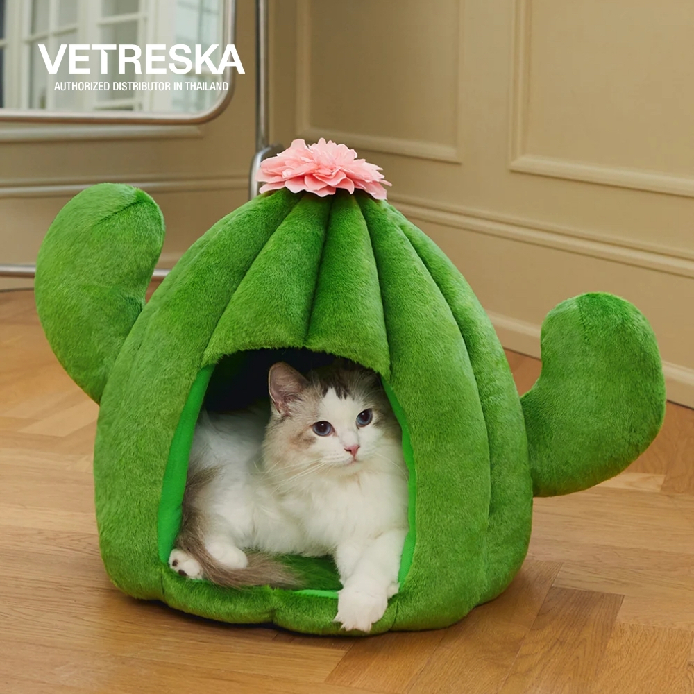 VETRESKA  ที่นอน บ้านสำหรับสัตว์เลี้ยง Oasis Cactus Pet Bed