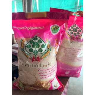 ข้าวหอมมะลิ 100% เก้าใบโพธิ์ 5 กก. ข้าวหอมยโสธร ข้าวใหม่ ข้าวเก่า