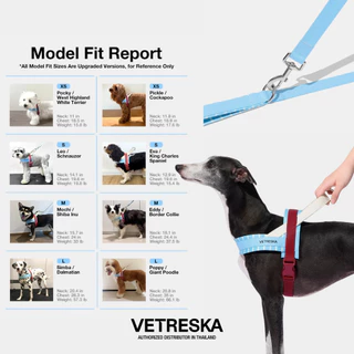 VETRESKA สายรัดอกและสายจูงสุนัข MIST AND MERLOT PET HARNESS & LEASH SET