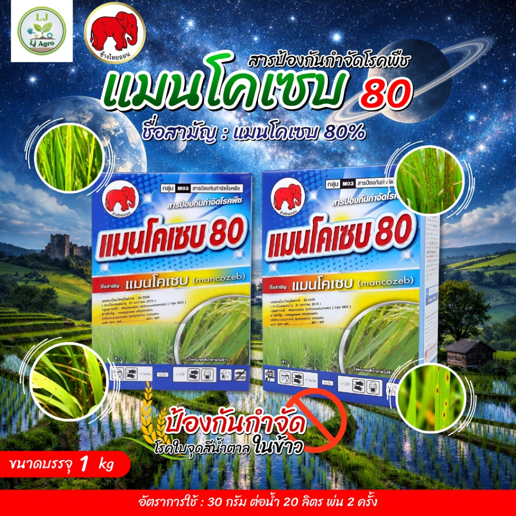 แมนโคเซบ 80 ขนาด 1kg ป้องกันโรคแอนแทรคโนสในพริก (ช้างไทออน) #แอลเจอะโกร