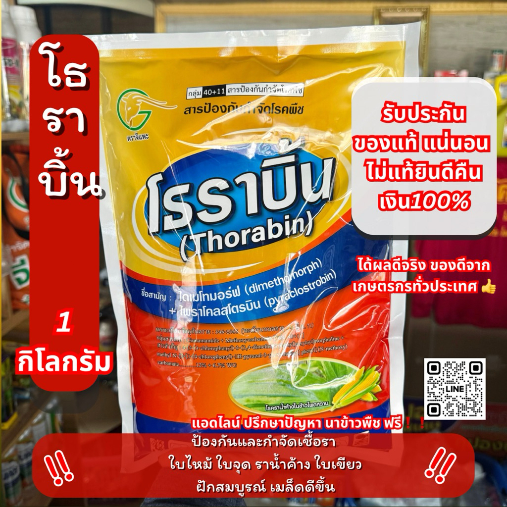 50 ไร่ ไดเมโทมอฟ+ ไพราโคสโตรบิ้น โธราบิ้น ป้องกันและกำจัด โรคใบไหม้ โรคใบจุด 	โรคราน้ำค้าง 1 กิโลกรัม – โปรปัง