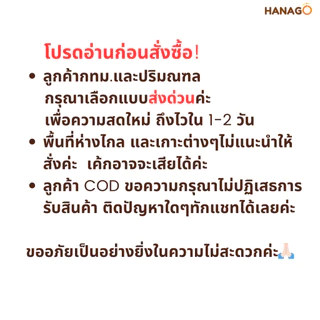 HANAGO เค้กกล้วยหอม ฮาลาล Banana cake halal สูตรดั้งเดิม ขนม เบเกอรี่ เค้ก สดใหม่ พร้อมทาน