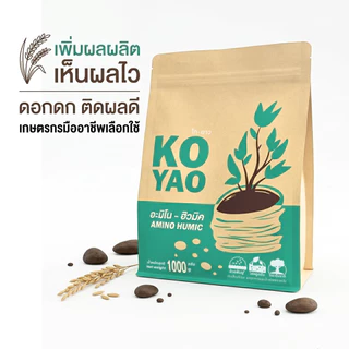 ปุ๋ยไม้ดอกไม้ประดับ โกยาวอะมิโนฮิวมิค เร่งราก ออกดอกดี สีสด สีชัด ใบเขียว ดอกดก ฟอร์มแน่น ดอกไม่ร่วง