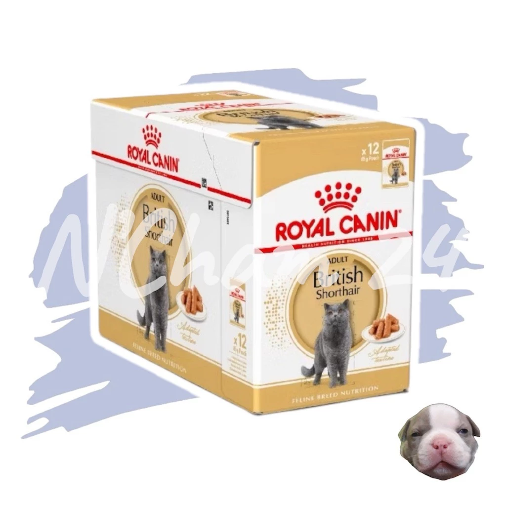 Royal Canin British Shorthair Pouch อาหารเปียกพันธุ์บริติชชอร์ทแฮร์