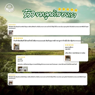 พุทรามองโกเลีย ขนาด 500g [พรีเมียม]