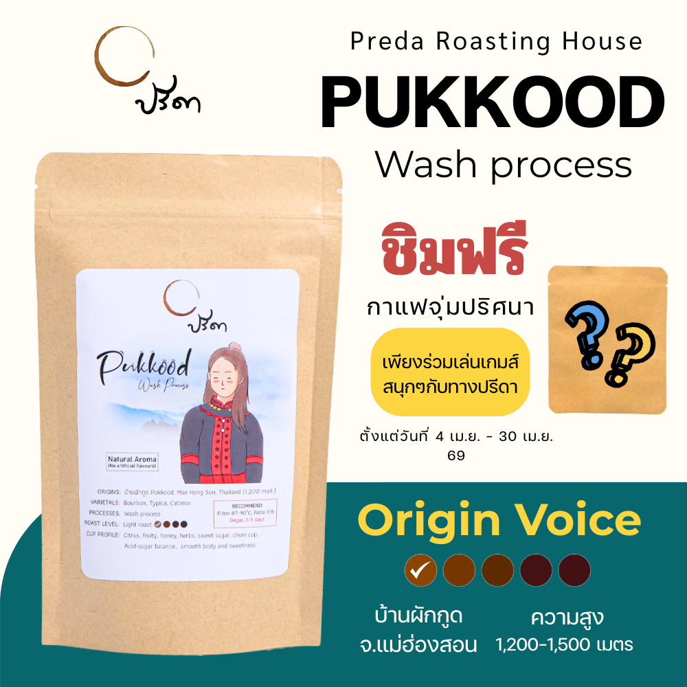 Wash Pukkood วอชผักกูด (เมล็ดกาแฟ คั่วอ่อน Light Roast กาแฟแม่ฮ่องสอน เปรี้ยวหวานลงตัว ปรีดา)