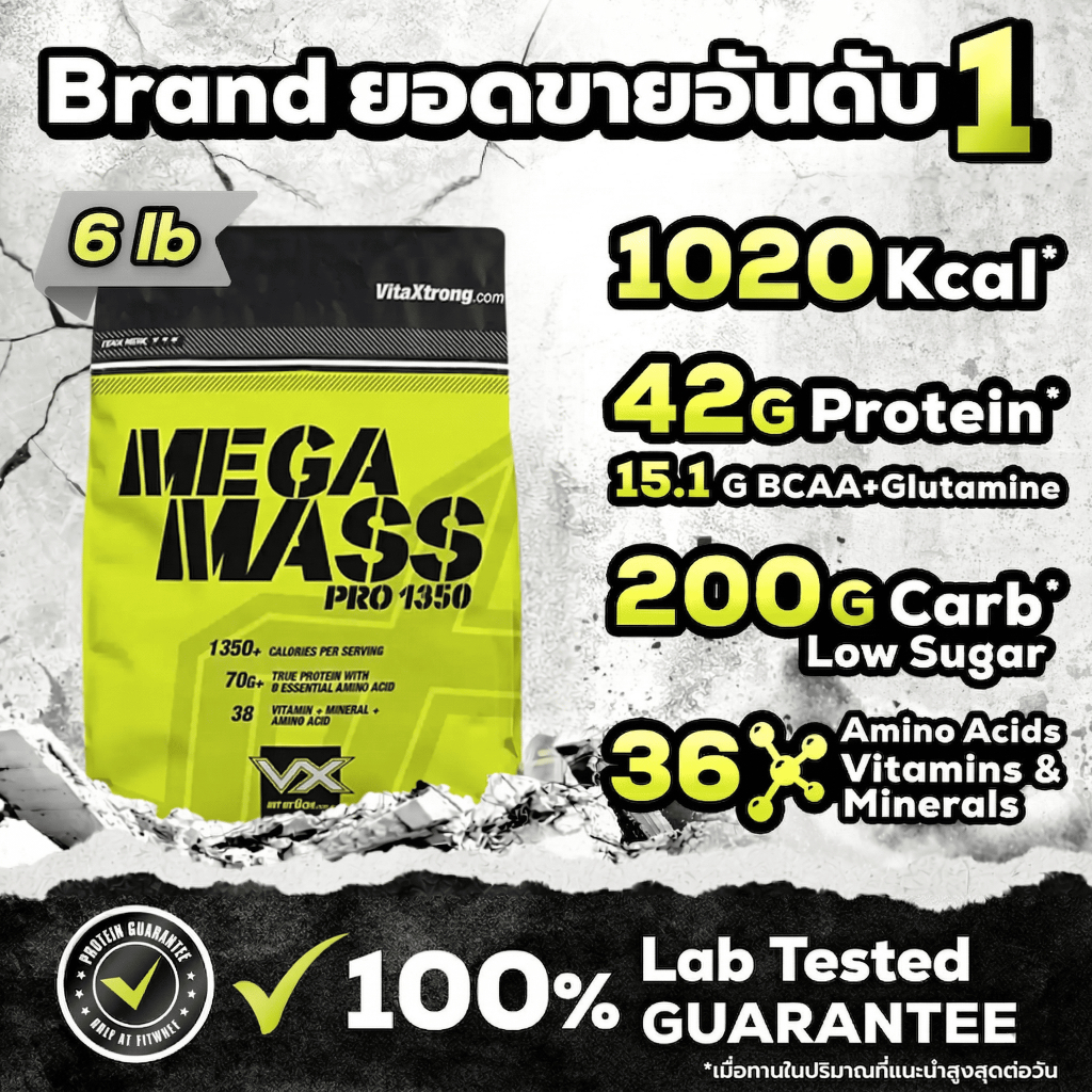 VITAXTRONG MEGA MASS PRO (6 LB) | MASS PROTEIN 70G