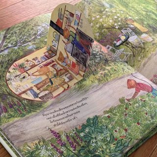 Wimmel Club Mouse's Adventure Set | ป่าของหนู, หนูล่องแม่น้ำ | นิทานสไตล์วิมเมล Lift-the-Flap | เซ็ท 2 เล่ม