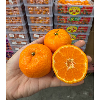 ส้มซาถัง​แท้ 100%(ส้มจีนไร้เมล็ด) หวานฉ่ำ อร่อย รสชาติเข้มข้…
