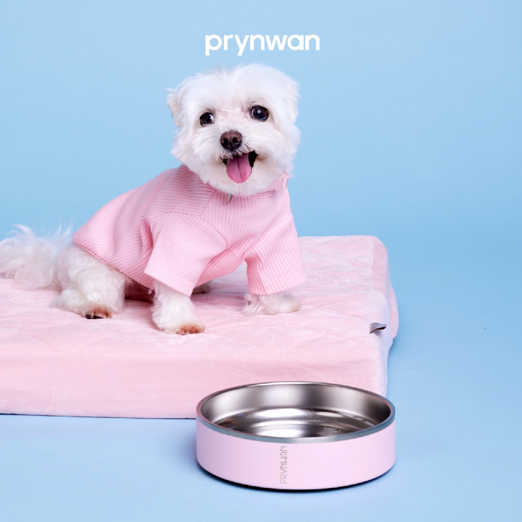 PRYNWAN Pets - Double Wall Stainless Steel Bowl ชามอาหารสัตว์เลี้ยง
